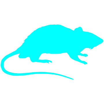 Blue Color Rat Silhouette Graphic Design