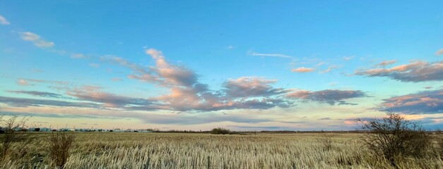 Fototapeta na wymiar Grande Prairie, Alberta, Canada, field of grass