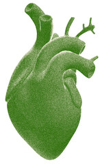 a 2D illustration of a human heart