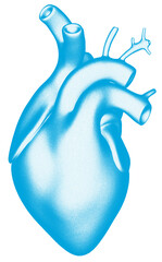 a 2D illustration of a human heart