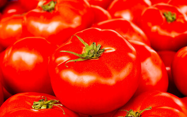 Brightly colored red, ripe tomatoes top view closeup. Seamless vegan food pattern.