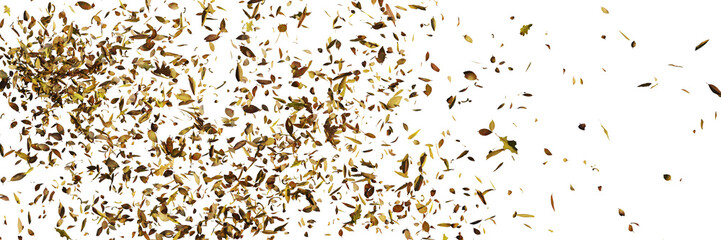 leaves flying in the wind, isolated on transparent background banner