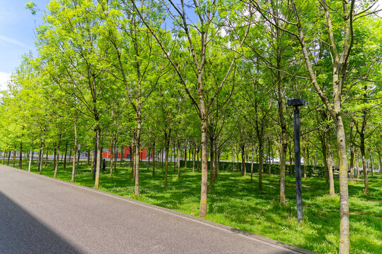 Tree alley of public park at City of Z&uuml;rich district Oerlikon on a blue cloudy spring day. Photo taken May 12th, 2023, Zurich, Switzerland.