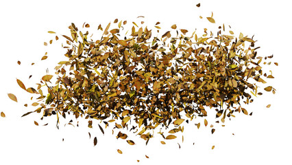 dry leaves flying in the wind, isolated on transparent background 