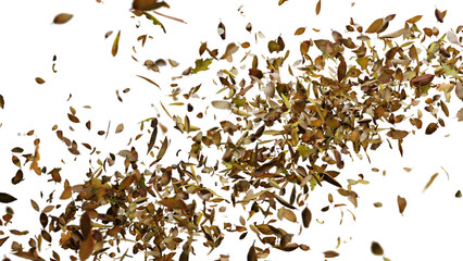 leaves flying in the wind, isolated on transparent background   