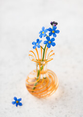 Beautiful bouquet of blue forget me not flower in a mini orange glass vase. Romantic minimal floral still life. 
(Myosotis scorpioides) Copy space.