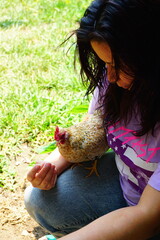 Woman hand feeding hens some corn dough