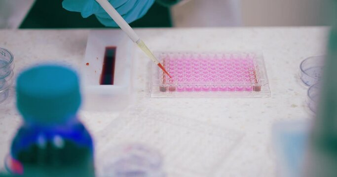 Scientist Working in Medical Laboratory Cancer Research Covic 19 Pandemic