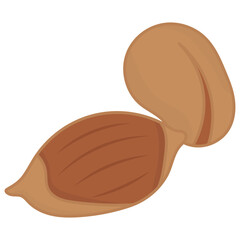 Nut Types Food Pecans