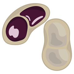 Nut Types Food Kapri Nut