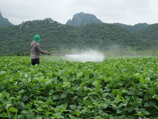 farmer working in the field