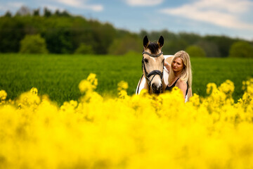 Horse with woman girl blond long hair horse with bridle standing behind a rape field in front of a...