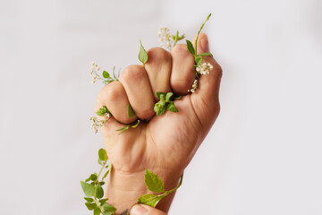 Hand, nature growth and holding fist for eco warrior, fight and revolution for sustainability protest. White background, studio and person with leaf and green plant in hands for environment rally
