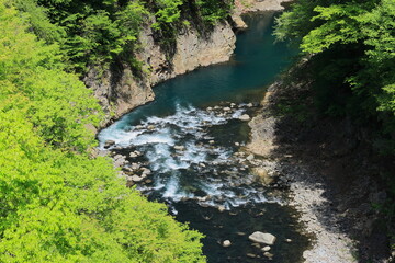 新緑の吾妻渓谷