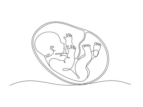 recommend clip art: Baby embryo in womb one line drawing. Cute unborn fetus baby on mother womb isolated on white background.