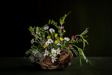 Cerstium. Rannculus. Ornithgalum. Vcia crcca.  Wildflowers in a composition on a driftwood.    