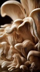 Oyster mushrooms closeup photograph. generative AI - obrazy, fototapety, plakaty