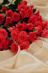 Small red bush roses on a white background with a place for text.