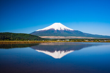 山中湖から逆さ富士