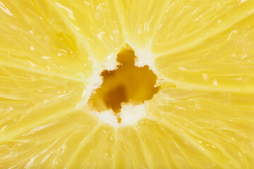 Slice of lemon fruit isolated