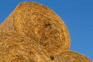 Piled hay bales on a field against blue sky