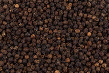 Black pepper zoomed in on