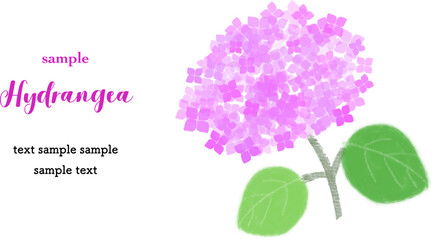 カードデザイン　アジサイ（ピンク色）