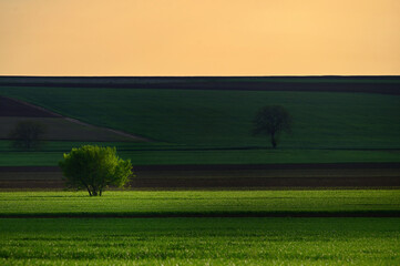 Field in Macin Romania at Sunset
