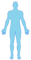 Fototapeta premium Male body shapes, human body outline, contour of full body 