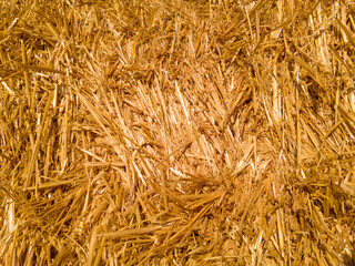 Hay Texture Background