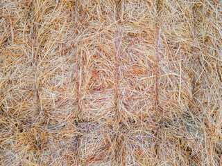 Hay Texture Background
