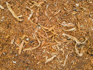 Tree sawdust on the ground