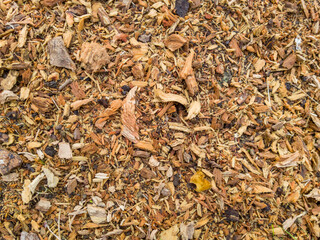 Tree sawdust on the ground