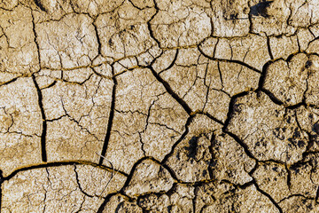 Background of the cracked dry barren soil. Global warming concept