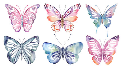 Fototapeta na wymiar Watercolor butterfly pink and blue clipart set. Hand drawn illustration