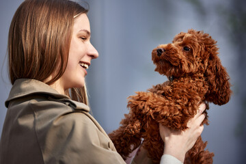 Close-up of a young blonde girl hugging her pet toy poodle. Girl and dog for a walk. Showing affection concept.