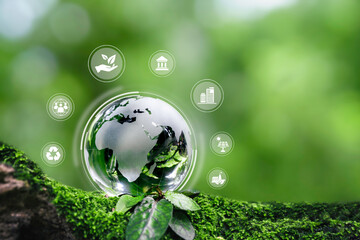 Crystal globe with sustainable development and ESG icon for Environment Social, Governance, and Business cooperation for World sustainable environment social governance concept.