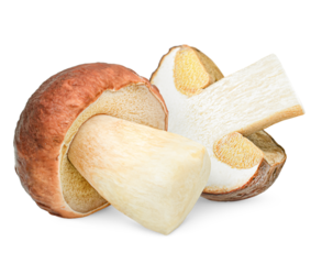 whole and halved porcini mushroom on a white isolated background
