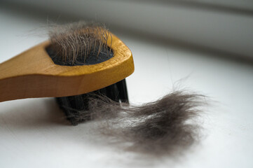 wooden brush for cleaning fur for a cat on a light background. Caring for a cat's coat
