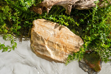 Top view of stone slab on clear water background, dry branches and green leaves in natural setting. Space for product display and brand development.