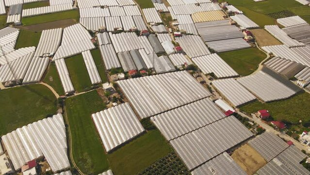 Large industrial greenhouses view from above, Greenhouses with growing vegetables