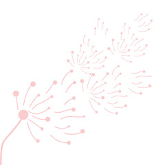 Dandelion Logo, Vector Plant Dandelion flower, Design Icon Template