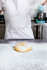 Master Baker. Making delicious home-made bread.