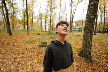 Teenage boy looking above in autumn forest.