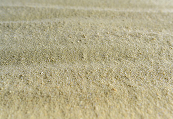 The texture of the sand on the sea coast. There is space for text.