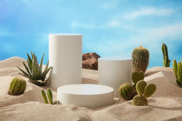 The natural landscape with cylinder and round podiums placed on the sand with types of Cactus....