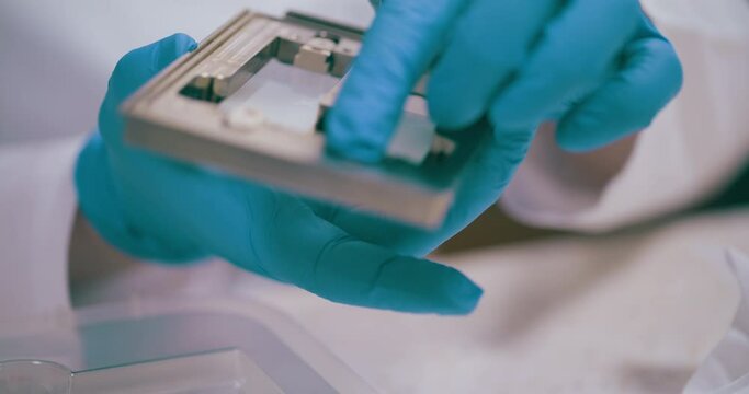 Scientist Working in Medical Laboratory Cancer Research Covic 19 Pandemic