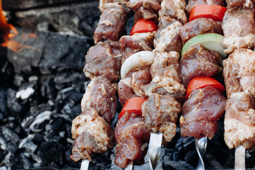 Meat lamb and pork with pepper and onions on skewers.