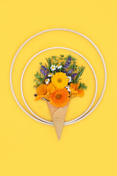 Surreal ice cream waffle cone with edible summer flowers and fresh herbs. Abstract creative minimal fun nature food concept with circular frames. Flat lay copy space.