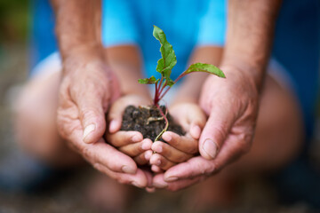 Hands, kid and senior person with plant in soil for earth day, climate change or environment care. Hand, child and grandparent with leaf in nature for sustainability, learning and eco friendly growth